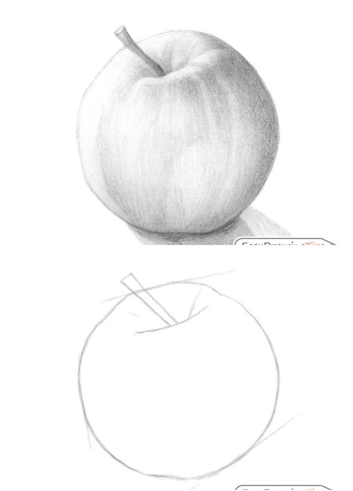 Small apple sketch : r/drawing