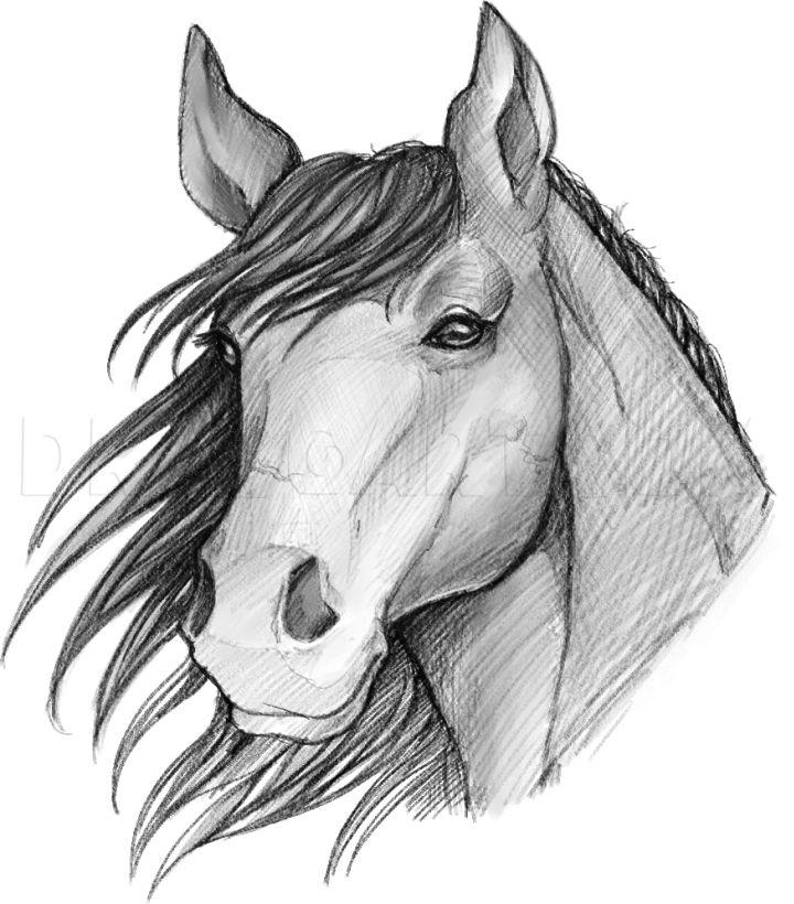 Easy Horse Drawings In Pencil Step By Step