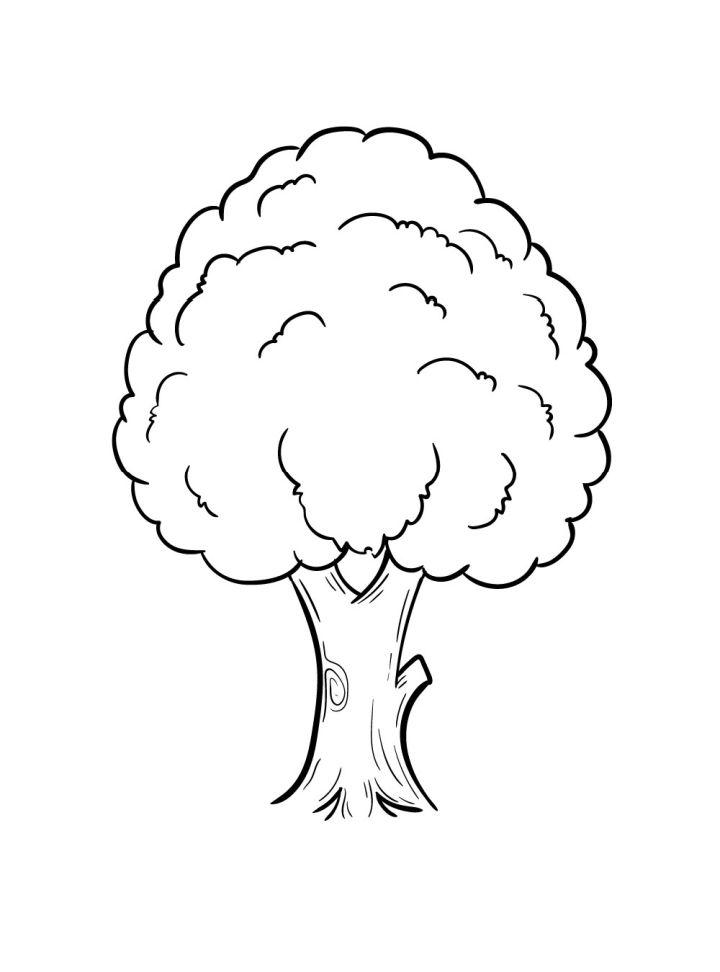Tree Drawing Step by Step Instruction