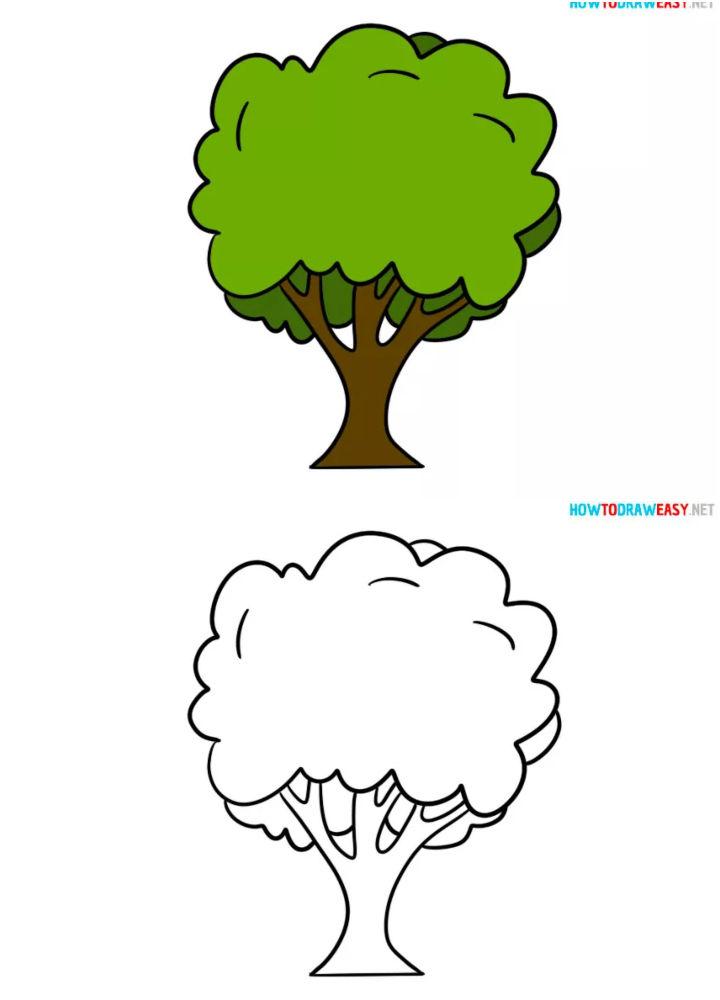 apple tree drawing kids