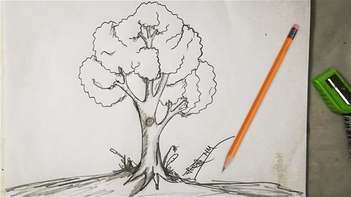 Tree Sketch for Beginners with Pencil