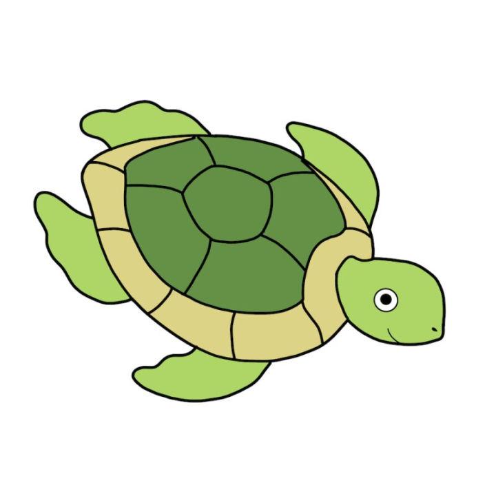 Turtle Drawing for Kids