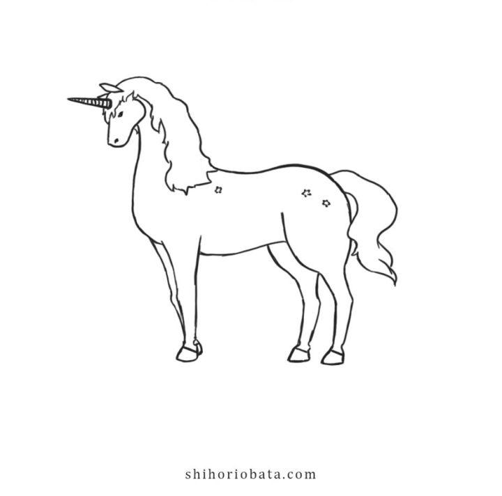 Unicorn Drawing for Beginners