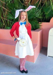 20 DIY Alice in Wonderland Costume Ideas 2024 - Blitsy