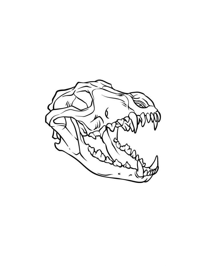 Wolf Skull Drawing Step by Step Guide