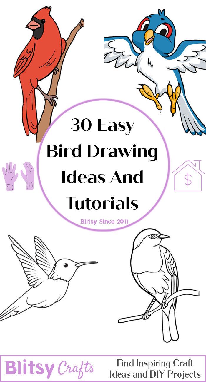 flying bird drawing for kids