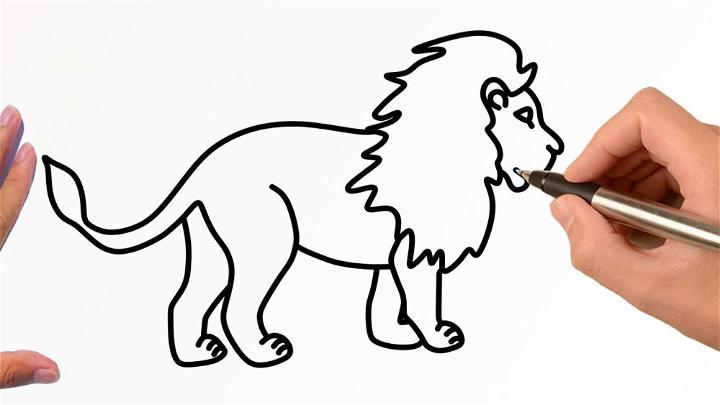 Lion Drawing, How to Draw a Lion, Easy lion Drawing by ShymsArt : r/drawing