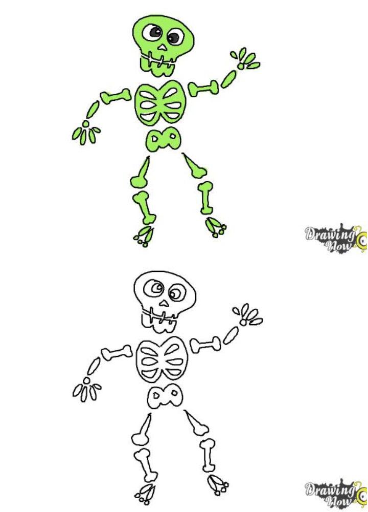 How to Draw Skeleton For Kids - DrawingNow