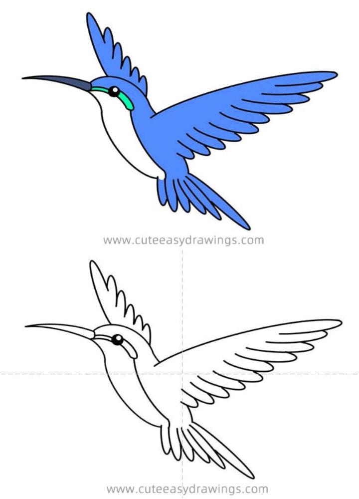 Beautiful Flying Hummingbird Bird Drawing