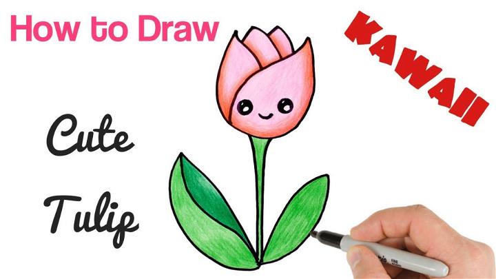 Cartoon Flower Drawing