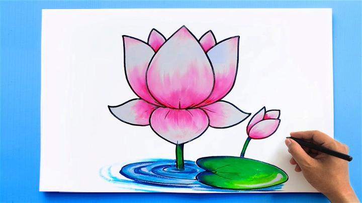 Colorful Lotus Flower Drawing