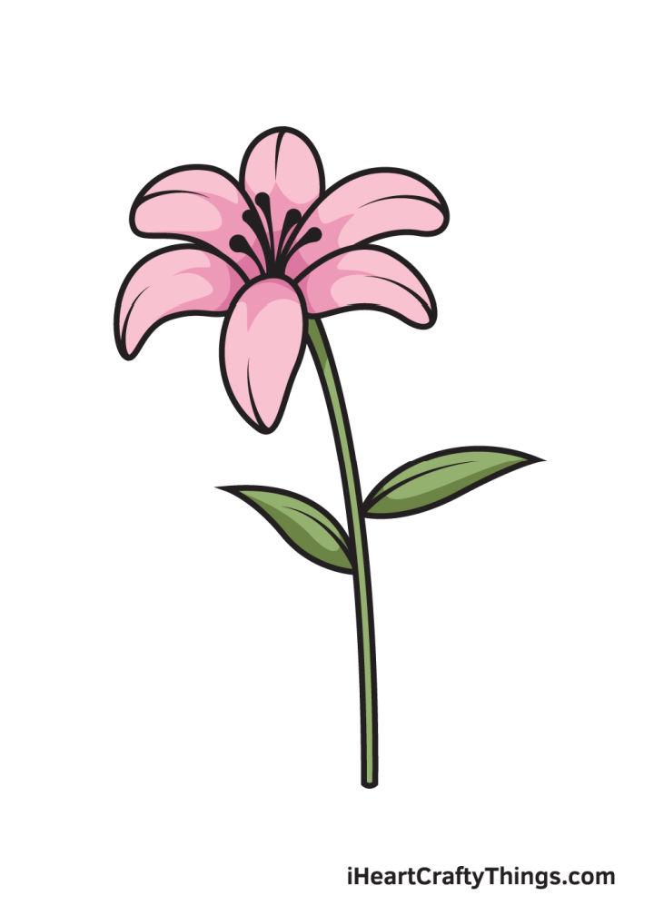 Cool Drawings Of Flowers That Are Easy   Cool Lily Flower Drawing 