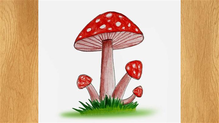 Cool Mushroom Drawing