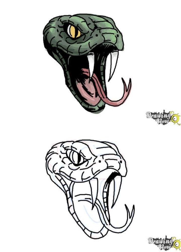 Cool Snake Head Drawing