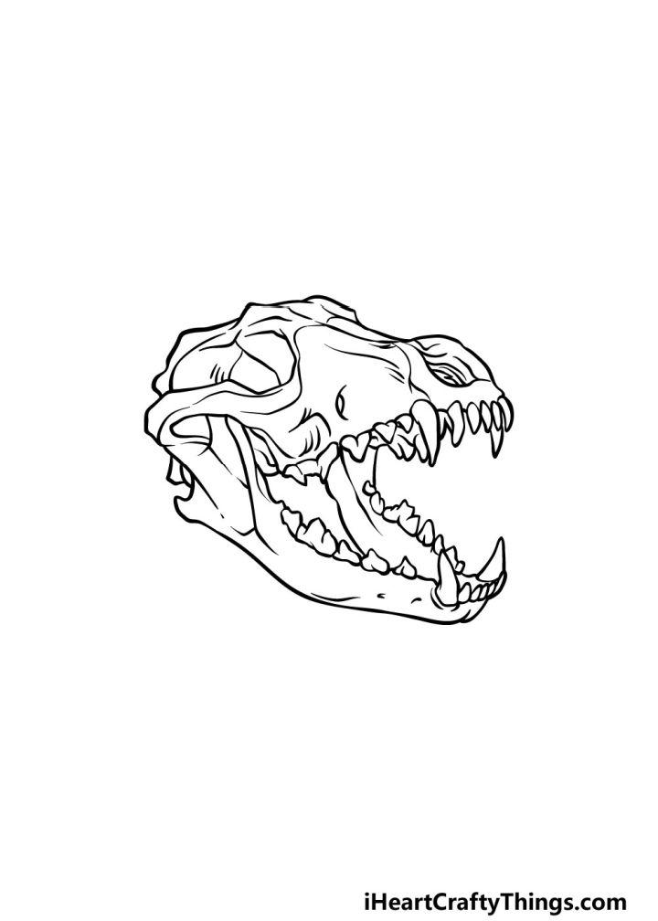 Cool Wolf Skull Drawing