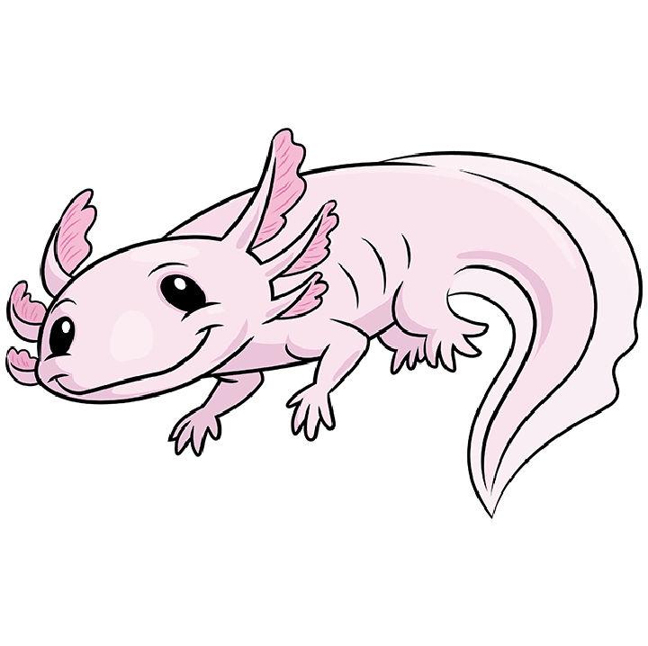 Cute Axolotl Drawing