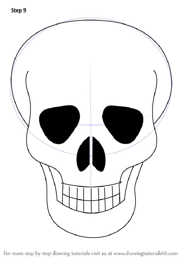 How To Draw A Skull Step by Step  10 Easy Phase