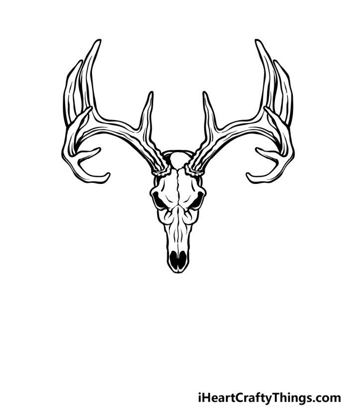 Deer Skull Drawing Step by Step Guide