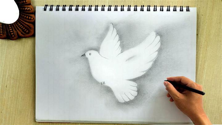 Dove Flying Bird Drawing