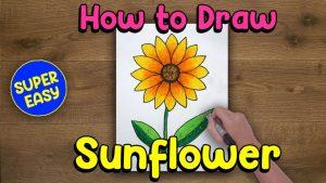 25 Easy Sunflower Drawing Ideas - How to Draw a Sunflower