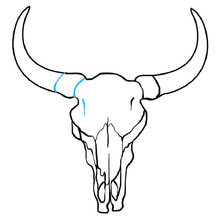 Draw a Bull Skull for Kid