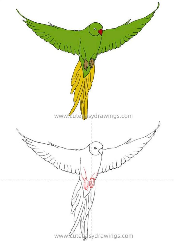 Draw a Green Parrot Flying Bird