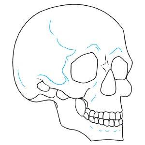 25 Easy Skull Drawing Ideas - How to Draw a Skull