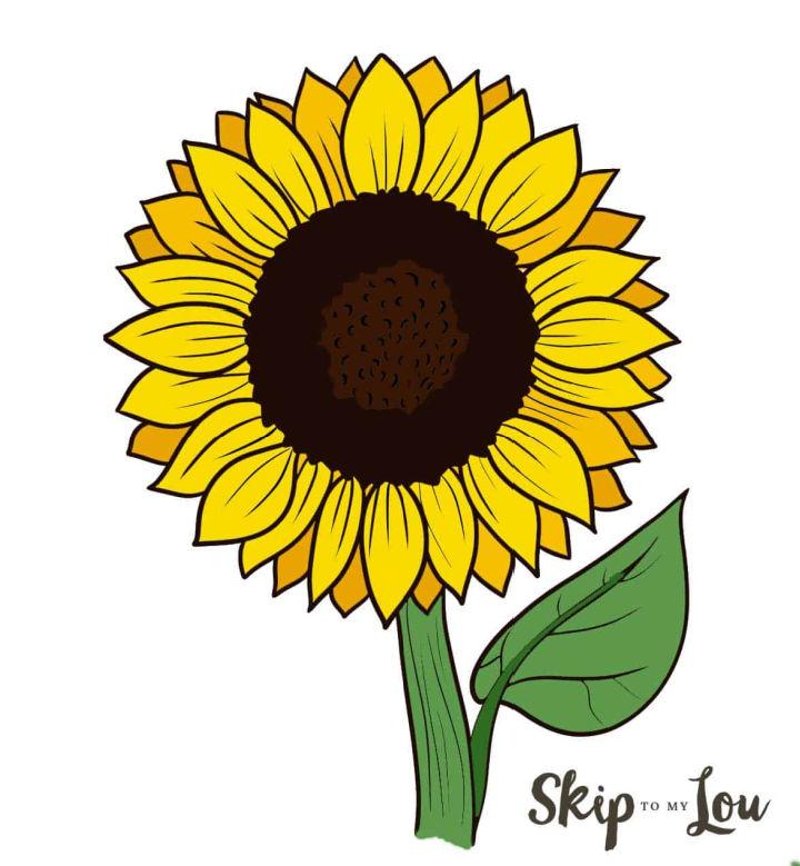 Drawing Of A Sun Flower