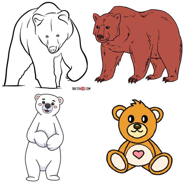 25 Easy Polar Bear Drawing Ideas How to Draw