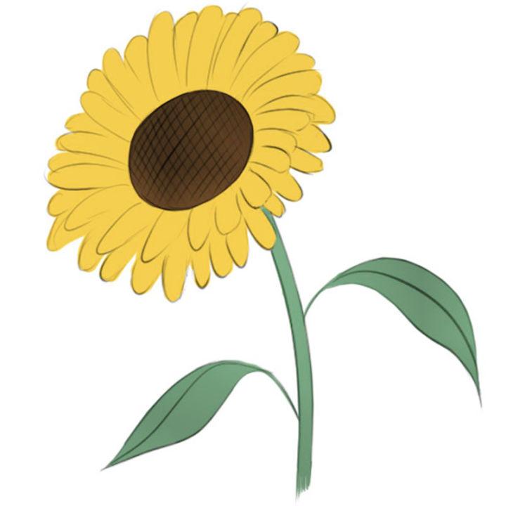 Easy How To Draw A Sunflower