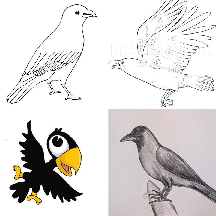 How to Draw an American Crow (Birds) Step by Step | DrawingTutorials101.com