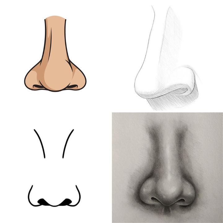 simple realistic nose drawing｜TikTok Search