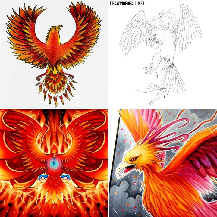 simple phoenix drawings