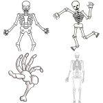 25 Easy Skeleton Drawing Ideas - How To Draw A Skeleton