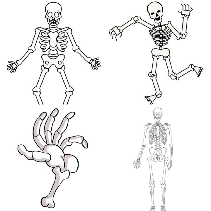 Easy Skeleton Drawing  HelloArtsy
