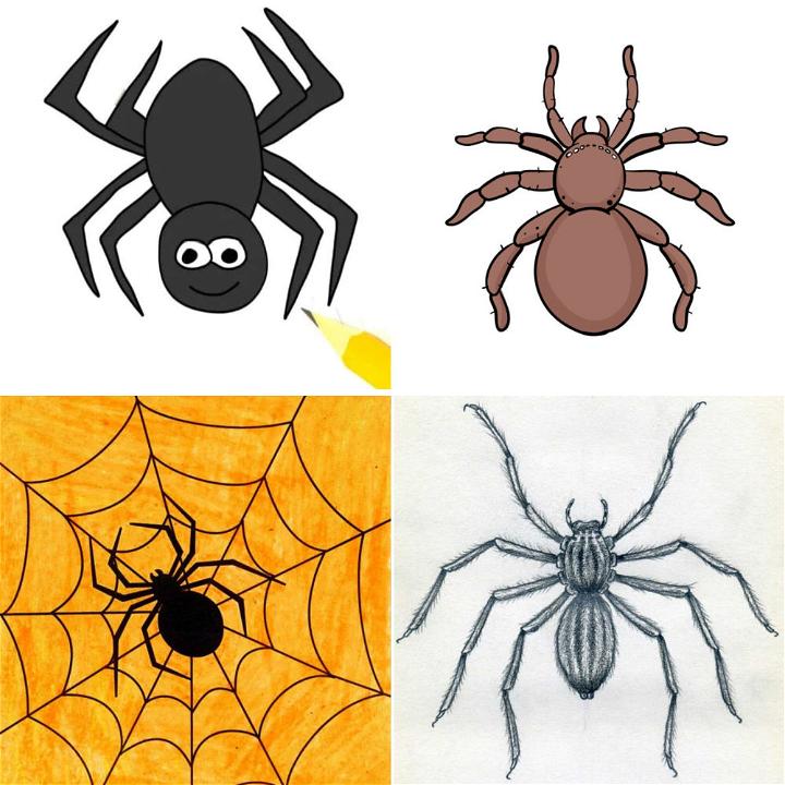 Spider Drawing Vector Art Icons and Graphics for Free Download