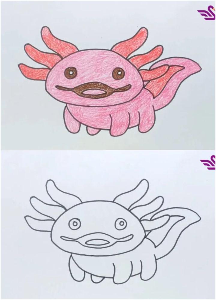 Easy Way to Draw an Axolotl