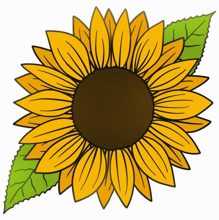 Easy and Fun to Draw Sunflower