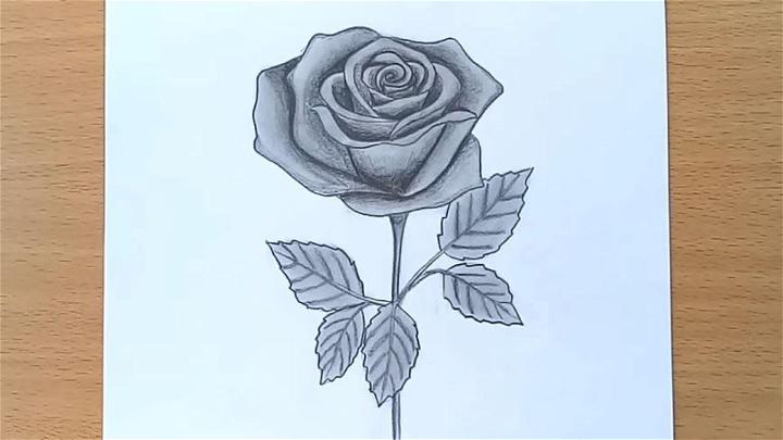 Flower Image Drawing