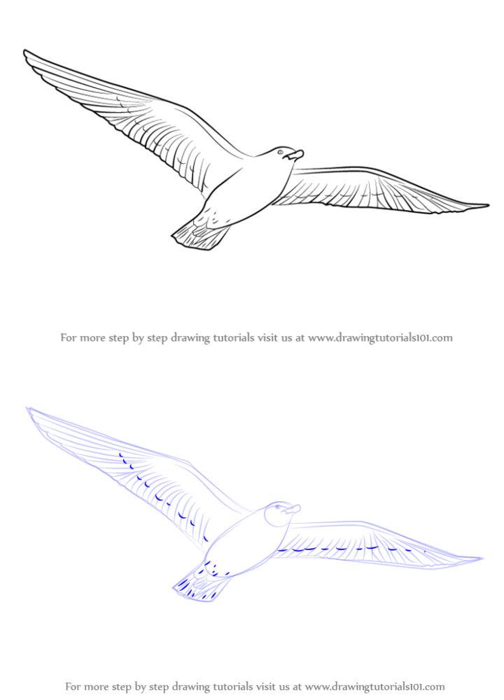 Easy Flying Bird Drawing Ideas How To Draw A Flying Bird