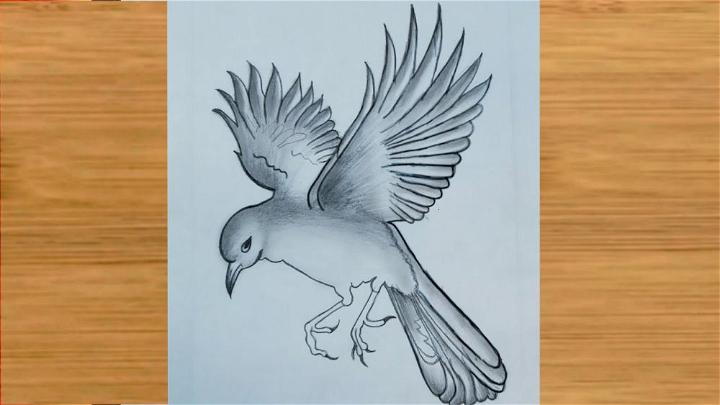 Flying Bird Pencil Drawing