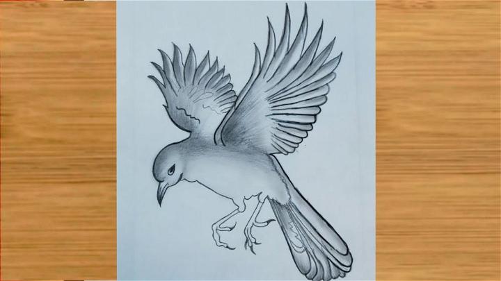 How to Draw a Flying Bird Step by Step | Pencil | Birds flying, Bird  drawings, Drawings