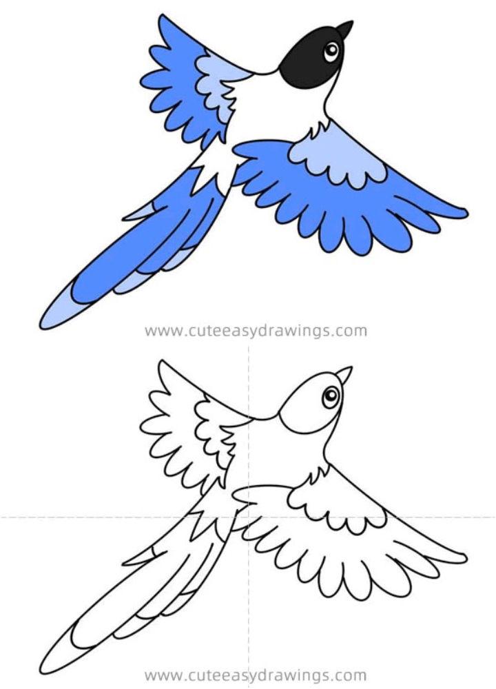 How to Draw a Blue Jay - HelloArtsy