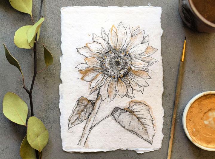 Free Sunflower Illustration