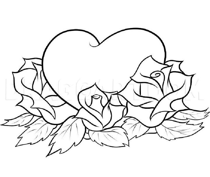 Heart And Rose Drawing
