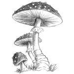 20 Easy Mushroom Drawing Ideas - How To Draw A Mushroom