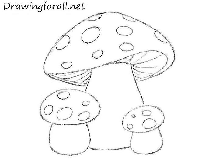 Mushroom House - Learn how to draw a beautiful Mushroom House.