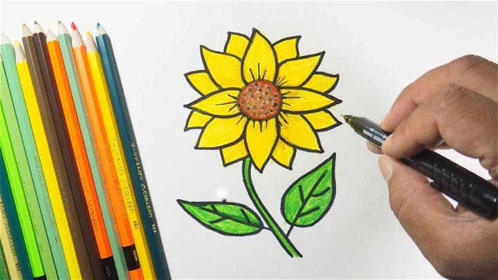 How To Draw Sunflower With Paper