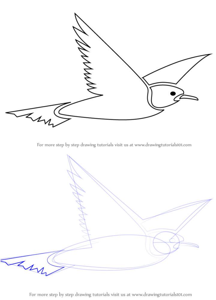 How to Draw Flying Bird Sketch