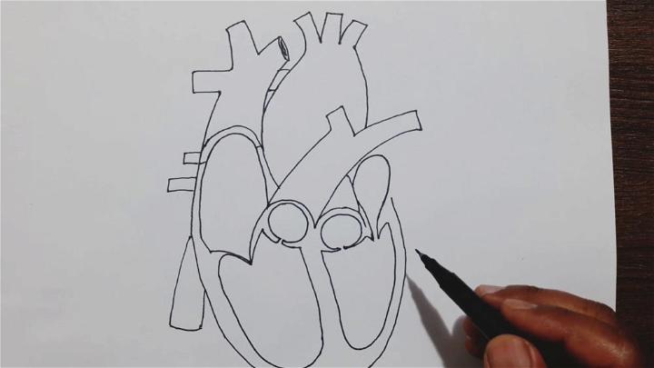 How to Draw Human Heart